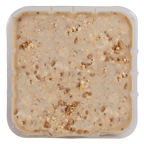 Kaytee Positively Peanut High Energy Mini Suet, 11 Ounces - image 2