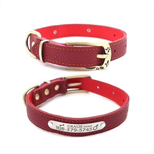 Collares de Perro Personalizados para Perros pequeños y Gatos - Cuero - Placa de identificación grabada - Collares de Mascotas Personalizados para Regalo de Mascotas