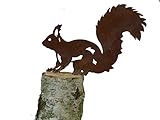 B 32 x H 23 cm ARTTEC Design Eichhörnchen (groß, Rost)