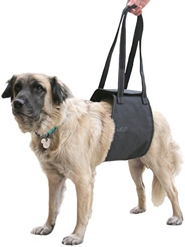 dog rescue harness