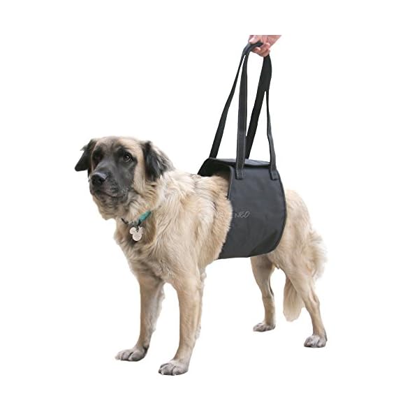 dog harness weak legs