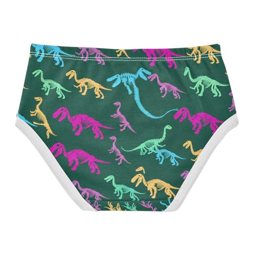 Dinosaur Skeletons Toddler Girls's Underwear 2T 202c17622