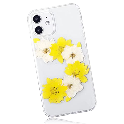 ARROWS U P[X w X}zP[X 1 A[Y NAP[X CG[ S@Ή NA  W  킢  n[hP[X 100062952