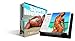 Trends International 2017 Day-at-a-Time Box Calendar, 6.125