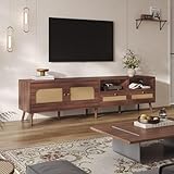 OLIVIBED