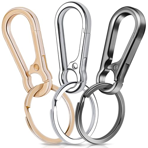 3 Stück Karabiner Schlüsselanhänger,Caianwin Karabinerhaken Klein Metall Schlüsselkarabiner Schlüsselring (Golden/Silber/Grau)