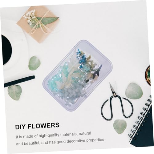 ORFOFE Kit de Flores Secas Naturales para Manualidades miniatura 5
