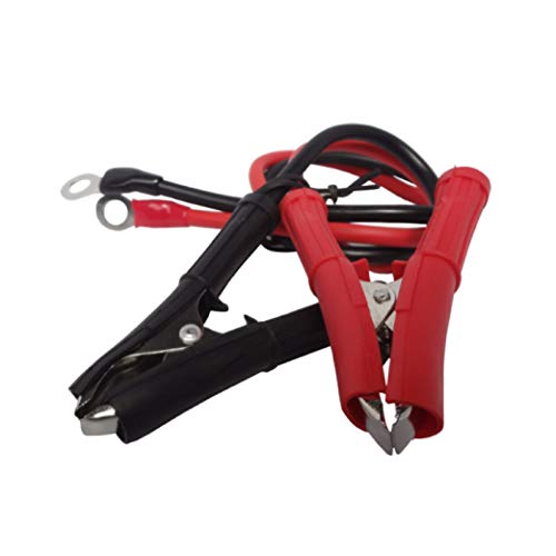 GoWISE Power 600W Pure Sine Wave Inverter 12V DC to 120V AC with 2 AC Outlets + 1 5V USB Port and 2 Clamp Cables (1200W Peak) PS1001