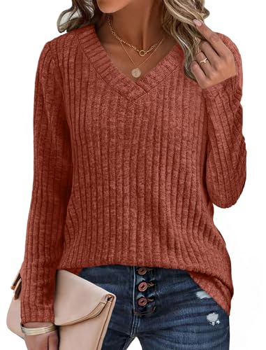 SAMPEEL Long Sleeve Shirts for Women V Neck Sweaters Fall Fashion Outfits 2025 Tunic Tops Lightweight