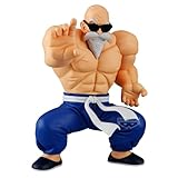 Banpresto Figura de Acción Kamesennin Dragon Ball - Solid Edge Works 15cm - PZ71349P Multicolor - Figura Coleccionable - Ideal para los fanáticos del Anime
