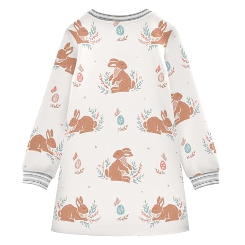 Brown Bunny Girls Dresses Long Sleeve Sweatshirt Dress for Girls Winter Toddler Casual A Line Dresses Size 2-8T2
