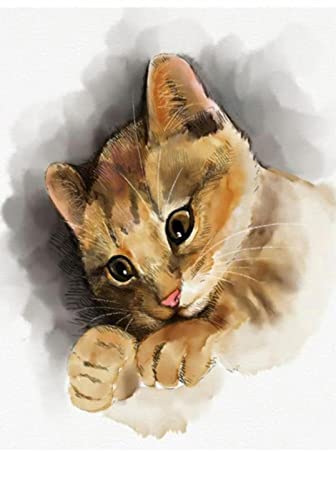 Kit point de croix chaton imprimé 40x50cm pour réussir sa première broderie DIY