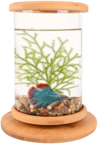 Amazon Co Jp アクアリウム ベタ直径10センチメートル高さ15センチメートルのためのベースミニシリンダーデスクトップ水族館とクリエイティブマニュアル回転ガラス水槽 水槽 ペット用品 Amazon Co Jp アクアリウム ベタ直径10センチメートル高さ15センチメートルのためのベースミニシリンダーデスクトップ水族館とクリエイティブマニュアル回転ガラス水槽 水槽 ペット用品