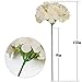 Flojery Silk Hydrangea Heads Artificial Flowers Heads with Stems for Home Wedding Decor,Pack of 10 (Champagne)