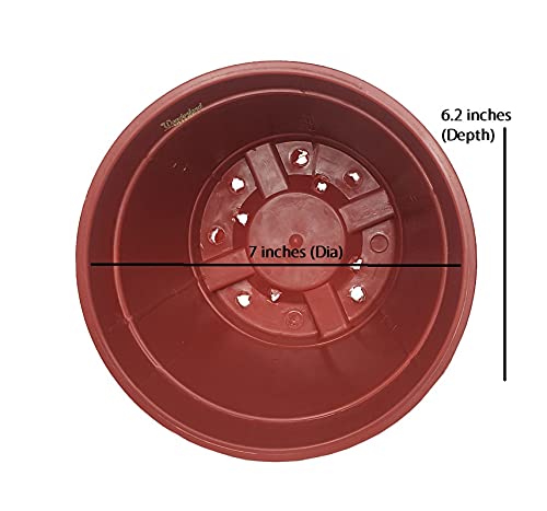 Image of Wonderland 8 inch Set of 3 Big Planter (Plastic Pots for Home Plants)