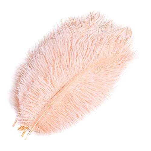 HQdeal 10pcs Naturelles Plumes d’Autruche, 20-25cm, Artisanat Plumes, Plumes Colorées pour Loisirs Créatifs, Mariage fête Décoration (champagne) Cover