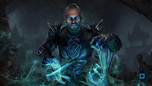 The Elder Scrolls Online : Elsweyr Jeu PS4 - vue 7