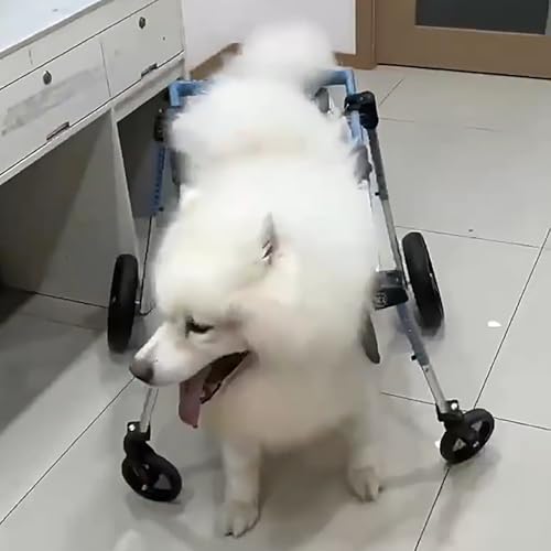 Silla de ruedas de perro para paseos activos: soporte de patas traseras con movilidad total