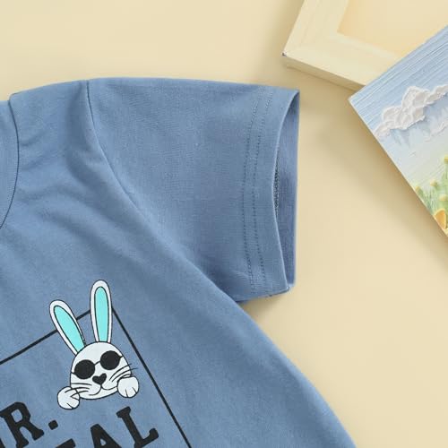 Image of BeQeuewll Toddler Baby Boy Easter Outfit Letter Bunny Print Short Sleeve T-Shirt and Shorts Summer Clothes Set