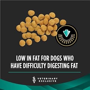 Pro Plan Veterinary Diets Purina EN Gastroenteric Low Fat Canine Formula Dog Food Dry Recipe - 25 lb. Bag Pro Plan Veterinary Diets Purina EN Gastroenteric Low Fat Canine Formula Dog Food Dry Recipe 25 lb Bag