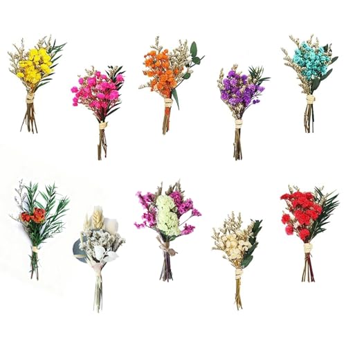 10 Stück Kleine Trockenblumensträuße Mini Trockenblumenstrauß Natürliche Trockenblumen Deko Strohblumen Getrocknet Set Kleine Trockenblumen für DIY Bastel Tagebuch und Fotoalbum Dekoration