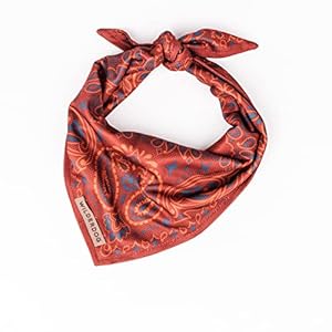Wilderdog Dog Bandana with Lightweight Quick Drying Poly-Blend Mesh Material in Rodeo