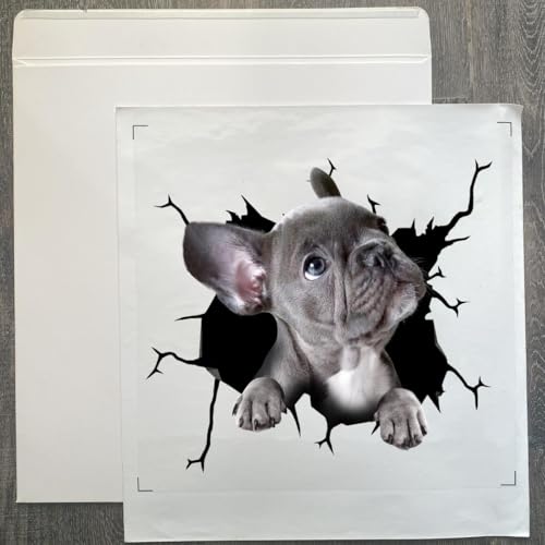 Image of Vinyl Dog Stickers - French Bulldog Car Decals for Women & Dog Lovers