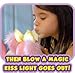 Wish Me Pets - Light Up LED Plush Stuffed Animals - Pink Cavalier Puppy with Yellow Bow