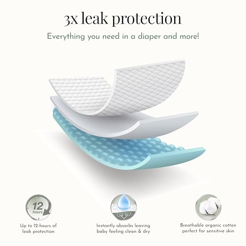 Evolur Snuggle Bum Baby Diapers - Size 3, 184 Count, for Infant & Toddlers (19 lbs - 30 lbs), Ultra Absorbent, Long lasing Dryness Upto 12 Hours