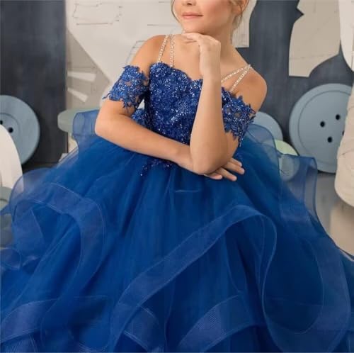 Flower Girls Laces Embroidered Pageant Dresses for Kids Plus Size Layered Tulle First Communion Gowns for Children4