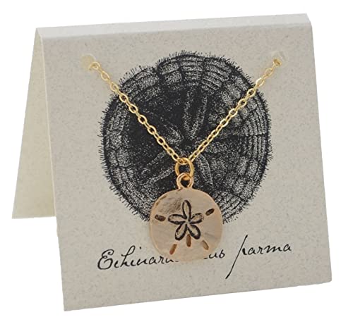 Sand Dollar Necklace - gold