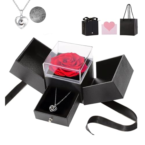 Image of HASTHIP Valentine Gift for Girlfriend, Wife, Women Artificial Preserved Rose with Heart Necklace with I Love You In 100 Languages Romantic Anniversary Birthday Gifts for Women Mom Girlfriend - Black