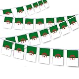 MacLand 30 PCS Algeria Flag String,32 FT Algerian Bunting,Decoration Banner for Outdoor Indoor Patio Yard Decor