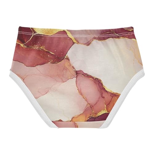 Hipster Panties Underwear Soft Touch Comfort Underwear for Toddler in Sizes 2T,3T, 4T, 5T, 6Y and 8Y2