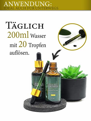 Chlorophyll Tropfen von Saint Nutrition – Hochdosiertes veganes Nahrungsergänzungsmittel