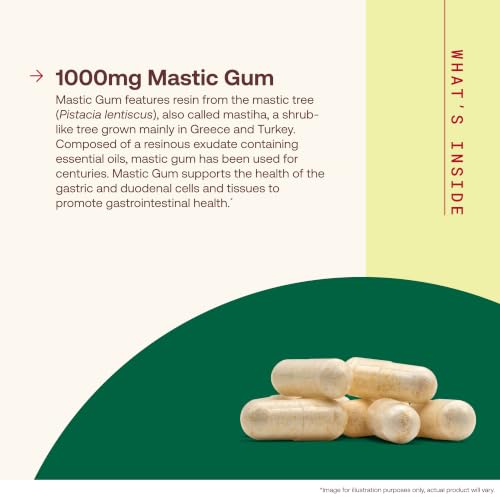 Jarrow Mastic Gum 1000mg, Supporting Stomach & Duodenal Health, 60 Capsules - image 3