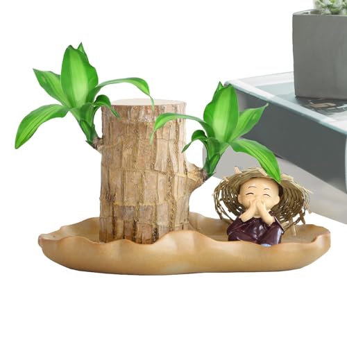 Brasilianisches Glücksholz - Luftreinigende Zimmerpflanze Mit Zubehör