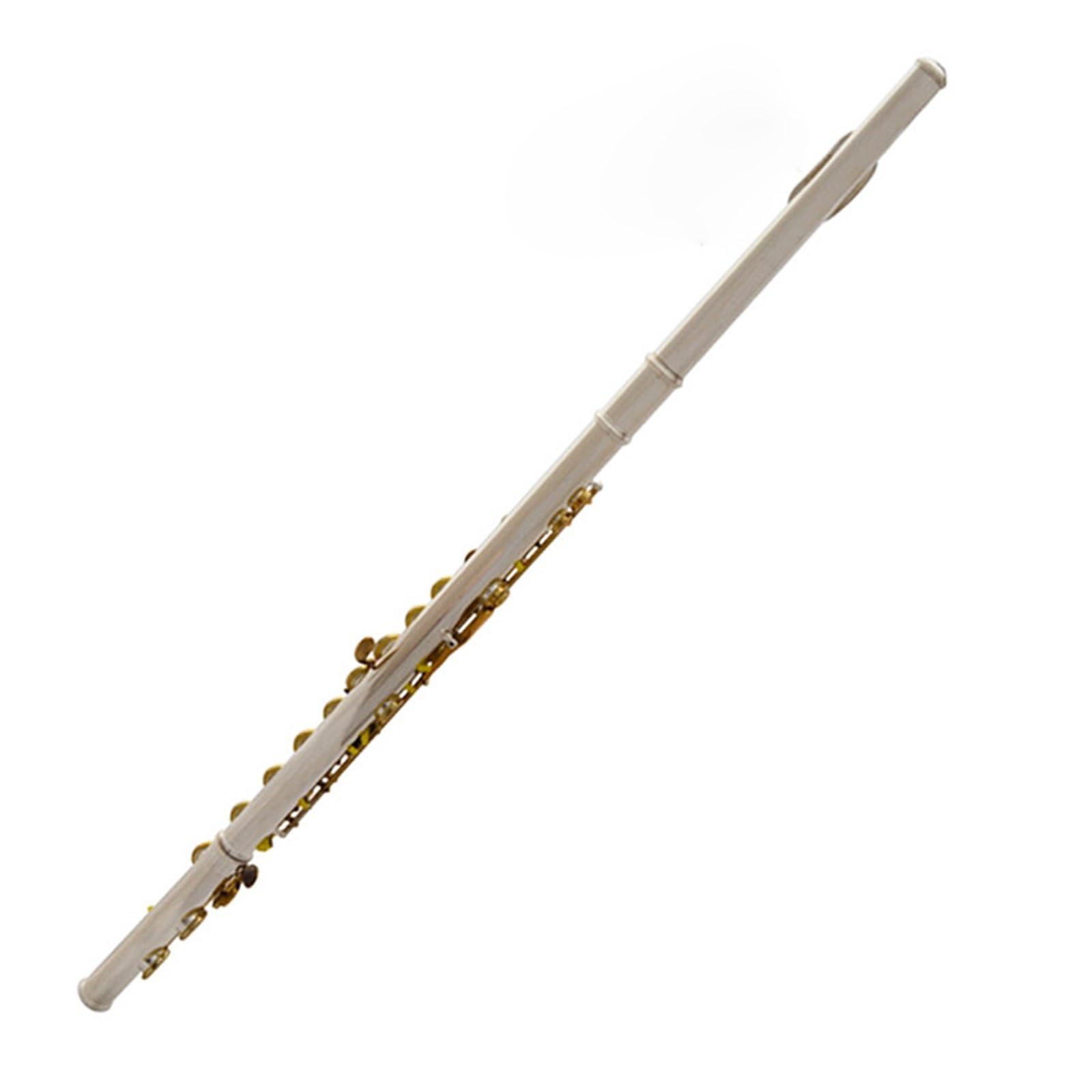 Flauto Flauto traverso professionale bicolore placcato argento in Do