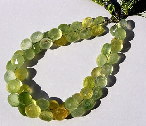 Perles en préhnite naturelle pour bijoux bohèmes d'été et accessoires