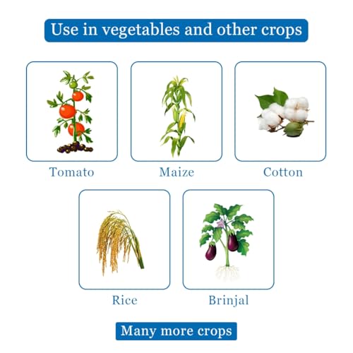 Image of NEW UPL-Lancer-Gold Insecticide - Acephate 50% + Imidacloprid 1.8% SP | Broad Spectrum Contact & Systemic Action for Cotton, Paddy & Vegetables (300)