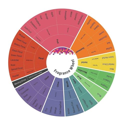 Gloria-Vanderbilt-N1-EDT-Spray-100-ml-Pack-of-2