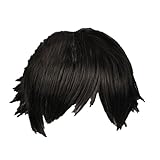 Mister Bear Future Diary Yukiteru Amano Black Short Wig