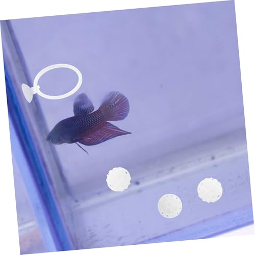 Set de entrenamiento y biofiltración para pez Betta miniatura 6