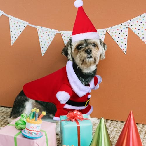 Disfraz de Santa Claus para perros GANAZONO XL miniatura 5