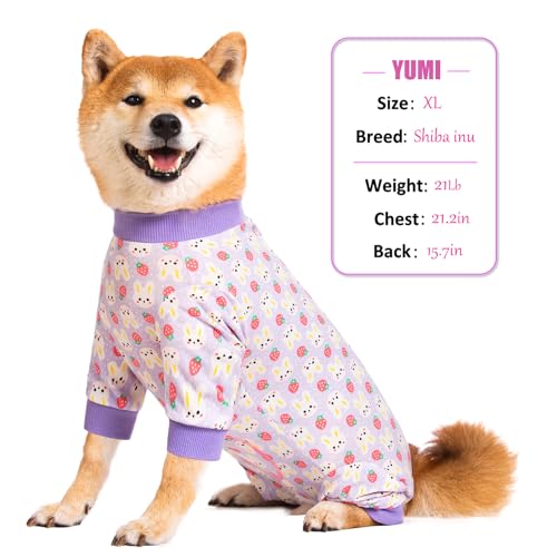 Image of Dog Recovery Suit for Small Medium Large Dogs, Pet Onesie After Surgery Comfort Dog Bodysuit Anti Licking (Purple Bunny,3XL)