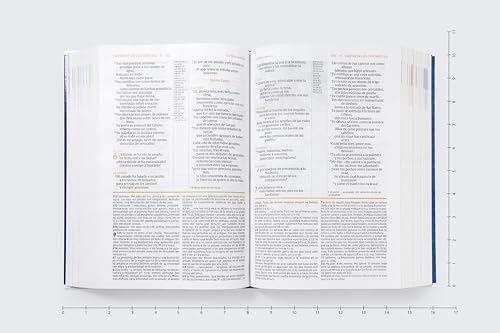 Image of NVI, Biblia de Estudio actualizada, Revision 2022, Tapa dura, Letra grande, Interior a color, Palabras de Jesus en Rojo, Comfort Print (NIV Study Bible, Fully Revised Edition) (Spanish Edition)