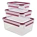 Emsa 515584 zestaw 3-częściowy pojemników do przechowywania żywności 0,55; 1; 2,3 litra, przezroczysty/malinowy