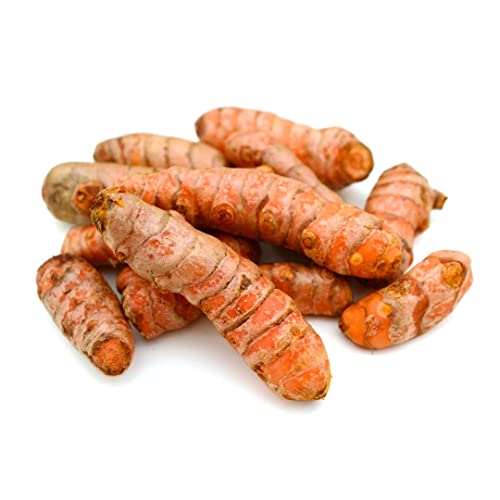 Bio Kurkuma | Frischer Bio-Kurkuma | Fresh organic Curcuma - 250g Cover