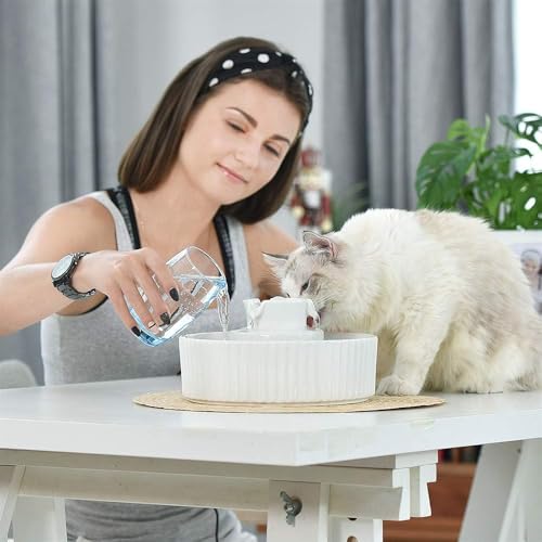 Image of Cepheus Pet Drinking Fountain-2.1L /71oz Ceramic Cat Water Fountain-Automatic Ceramic Water Fountain for Cats and Dogs with with Ultra-Quiet Pump(White)