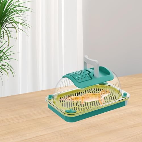 Ioensy REPTILE TERRARIUM REPTILETATATA DO RECEITO de HITBILATE de VENTATILAÇÃO CLARA VENTAÇÃO CARRA